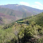 DSCN9011