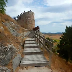 DSCN6769