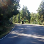 P1010139