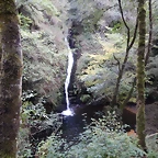 DSCN8763