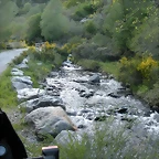 DSCN5161