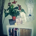 Mar?a twitter 7-3-2014