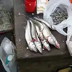 algunos pejes buenos