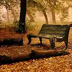 Old_Bench_1600M