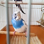 20180917_115049