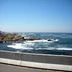 DSCN7591