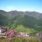 DSCN8508