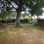 DSCN4392