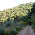 DSCN9222