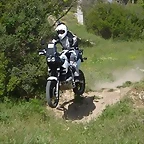845134P1110532
