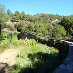 DSCN0239