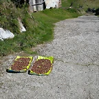 DSCN7944
