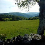 DSCN2075