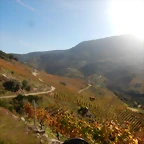 DSCN4649
