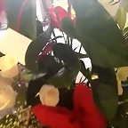 Video Mar?a IG Stories 16-11-2016 (6)