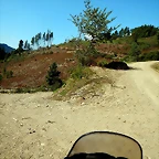 DSCN7151