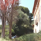 resized_Trial Segorbe 019