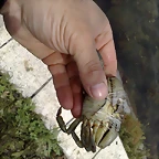 110620111023