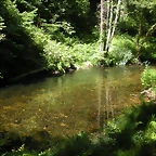 DSCN6605
