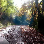 DSCN0085