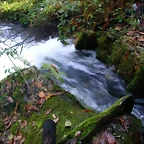 DSCN9977