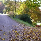 DSCN0084
