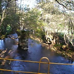 DSCN9974