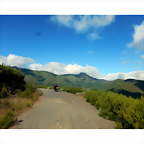 DSCN3556
