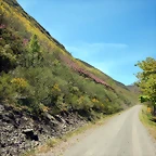 DSCN1035