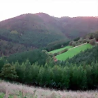 DSCN6330