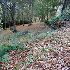 DSCN8451