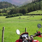 27-IMG_6382
