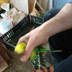 IMG_20180124_165529_BURST15