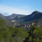 mtb olocau 009