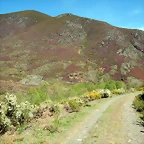 DSCN1140