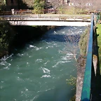 DSCN8024