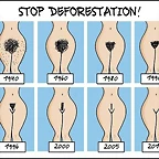 stop_deforestation