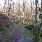 DSCN2073