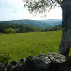 DSCN2075
