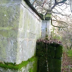DSCN7226