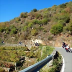 DSCN0896