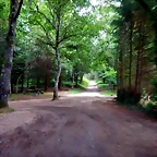 DSCN6341