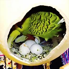 IMG_20171022_121941_987