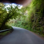 DSCN0103
