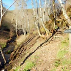 DSCN2800