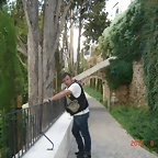 DSC00593