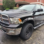 ram