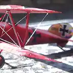 Albatros BR (7)