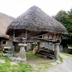 DSCN0886