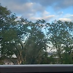 17104381647769200465656352537749